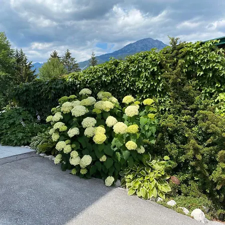 Appartementhaus Parzer Daire *