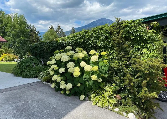 Appartementhaus Parzer Apartment *